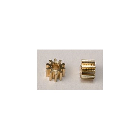 Ref. SI-PI60100- 2 x Piñon 10z diametro 6.5mm.