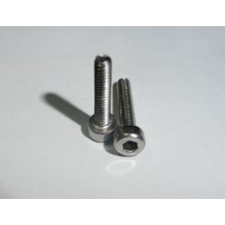 10 x Tornillos allen M2 x 10