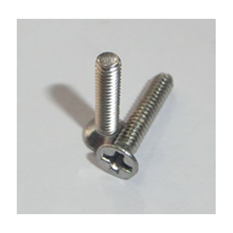 10 x tornillos conicos Phillips M2x10