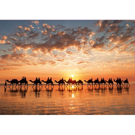 Atardecer en Cable Beach Australia puzzle 1000 Educa