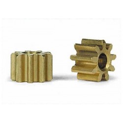 Ref. SIPI09- 2 x Piñon 9z