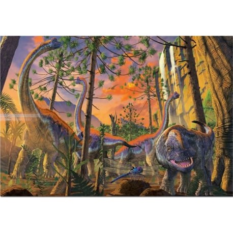 Curioso puzzle 500 piezas Educa 48 x 34 cm