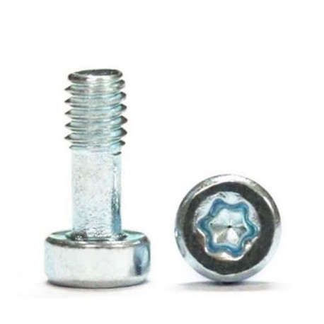 20 tornillos carroceria M2,1 x 5mm T6 Torx para carroceria + mini destornillador