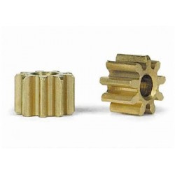 Ref. SIPI08- 2 x Piñon 8z